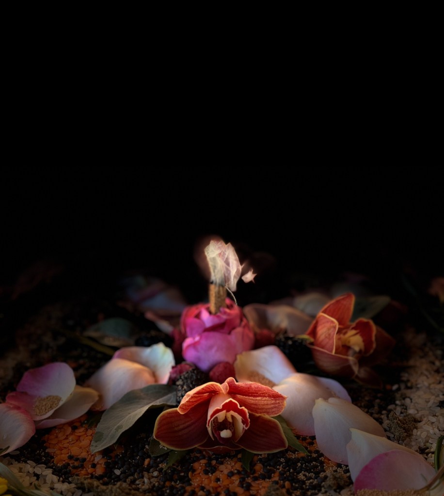 Ceremonial offering of orchids, rose petals, berries and seeds in low light, with incense smoke rising from a pink rose